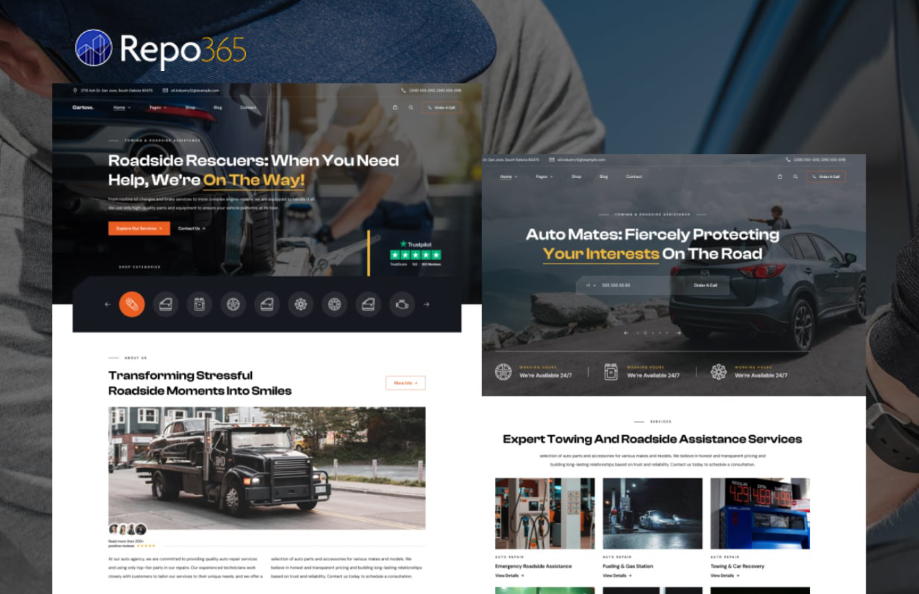 RepoWeb365 screenshot